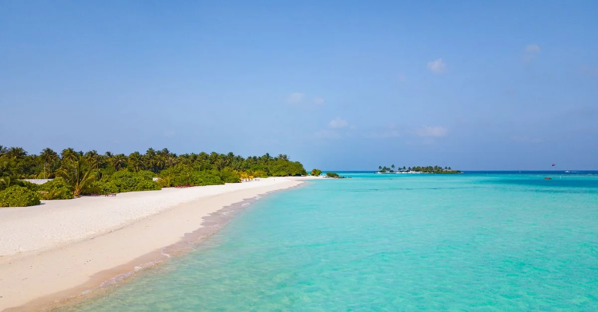 Une plage tropicale sereine avec des palmiers et des eaux claires, parfaite pour des vacances relaxantes.